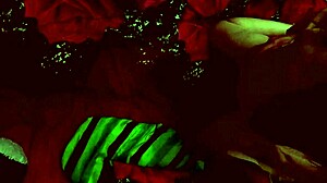 Neuken met lekkere jonge meid en komen op haar kont!