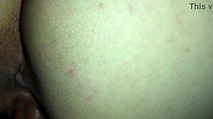 Rough missionary fucked by my bull in missionary