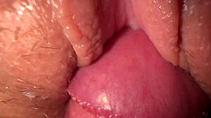 Verdammt, meine Stiefschwester ficken fühlt sich so geil an. Schnelles hartes Fingern führt zu wildem Abspritzen, oops!