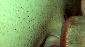 Best Part of Carnival Is Coming Home to Fuck Hard