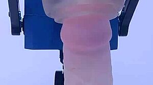 Rubjoy Using Some Fleshlights On A Stunt Cock - Even A Vibrating Tongue