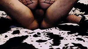 home couples compilation of milfs with natural tits fucking