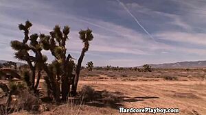 that outdoor babe is sucking and licking my cock before fucking in the sun