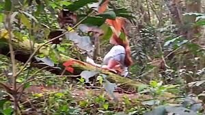 The guy paid to see my pussy, so I showed it in the park