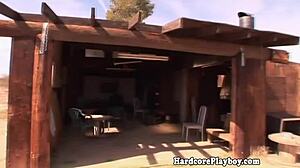 that outdoor babe is sucking and licking my cock before fucking in the sun