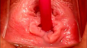 Filmando Buceta Rosinha De Perto E Gozando