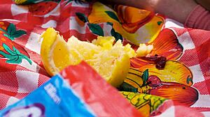 Lara's Outdoor Picnic Turns Into A Full Vomit Fetish Scene