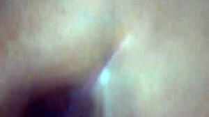 BBW Latina Curves On Display