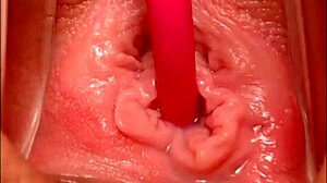 Filmando Buceta Rosinha De Perto E Gozando