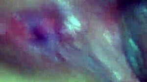 Horny Roommate Craves Creampie In Dorm Passion