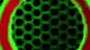 Wow! Kimber Lee And Angelina Castro In Lesbian Foot Job With Dildo!