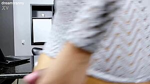 Census worker sucks Mayara Muniz's hard shemale cock