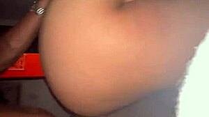 bbc latina slut with big tits ass doggystyle big cock