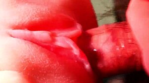 Por que não posso gozar dentro dela? Prefiro liberar fora do corpo dela