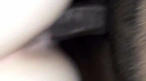 Bae is sucking that big black monster cock so good