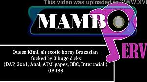Exotic Brazasian Queen Kimi Alt Fucked By Three Huge Dicks In Anal Dap