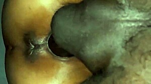 check out tight pussy vs huge black dick 😈