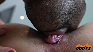 caroleta roots and loupan get tight with steamy creampie action