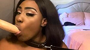 i cant beleive how lexo butterflys sux that big black cock so submissivly, its amazin