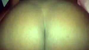 my bitch loves her rose with big black cock