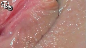 close-up masturbation of beautiful creamy pussy with toys and vibrator