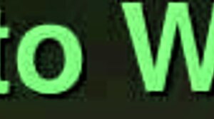 Zonkpunch Audio Experience