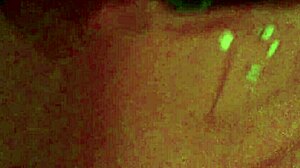 Jade, Stunning Brunette, Teases in Tight Wet Lingerie!