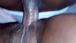 pov drilling this big ass bitch doggy till creampie