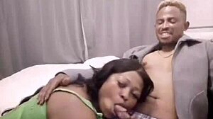 Nigarchrist update 1414 featuring petal on June 14, 2025