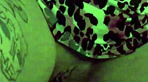 Intriguing Fuschia Leopard S2 Scene