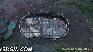 Beautiful brunette fucks holes with toys