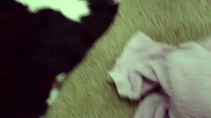 Brattymilf Gianna Grey: 'Maybe If You're Good, I'll Let You Rub My Pussy!'