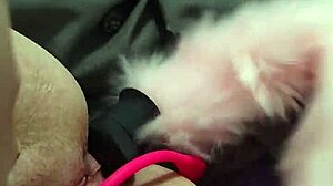 chubby milf fox gets double penetration in ass and pussy