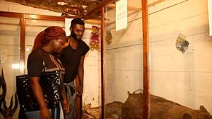 is this footballer fucking a mature woman in africa park after licking her pussy?