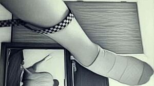 Frank gutierrez 3 9 8 7 moxxa jesse