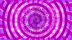 want to cum in my mouth? follow my jerk off instructions, sissy.