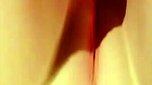 Shandy - private paradise 6