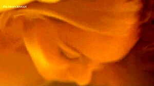 The best of laura vandervoort features sexy celebrity fucking on desk with fantasy 😍