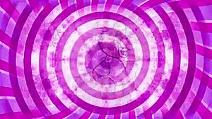 want to cum in my mouth? follow my jerk off instructions, sissy.