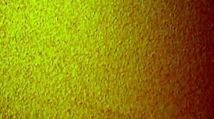 Asian hooker mature cheap