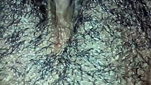 Ebony Amateur Plays With Wet Pussy And Orgasms