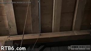 sweet hotty tossed into cage with playgirl for rough domination