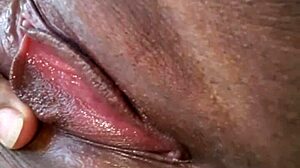 The Intimate Area Of My Partner In Latin Adult Entertainment