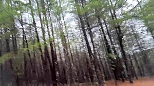 Clitlicker662 - update 32 - img 1340 - feb 16 2025