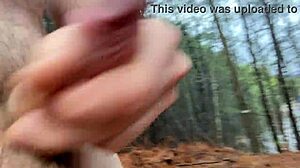 Clitlicker662 - update 32 - img 1340 - feb 16 2025