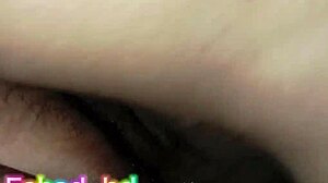 Kakak Desi Bangla, terima kongkek dalam krim ni!