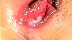 Busty Japanese Trio Babe Ceampied