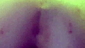 i love black bulls bunny ravishing ray main bunny