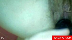 Watch pussy free amateur fingering video!