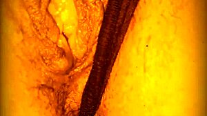 My Neighbor Fingers Me While Husband Works!